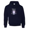 DryBlend® adult hooded sweatshirt Thumbnail